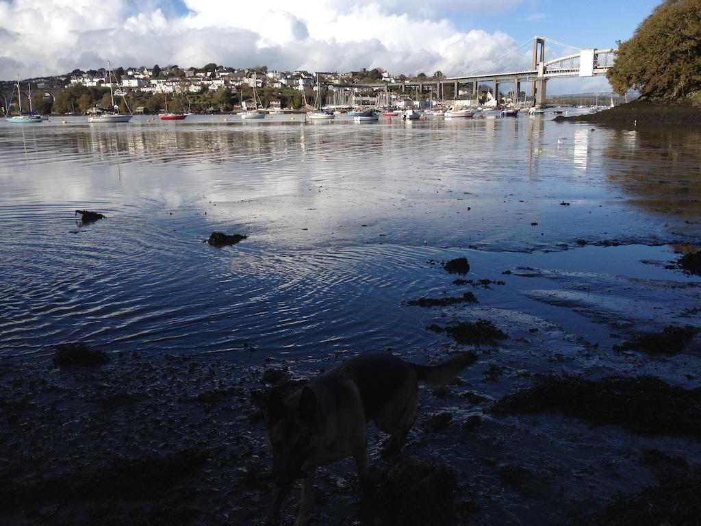 The Ferry House Inn Plymouth Quarto foto